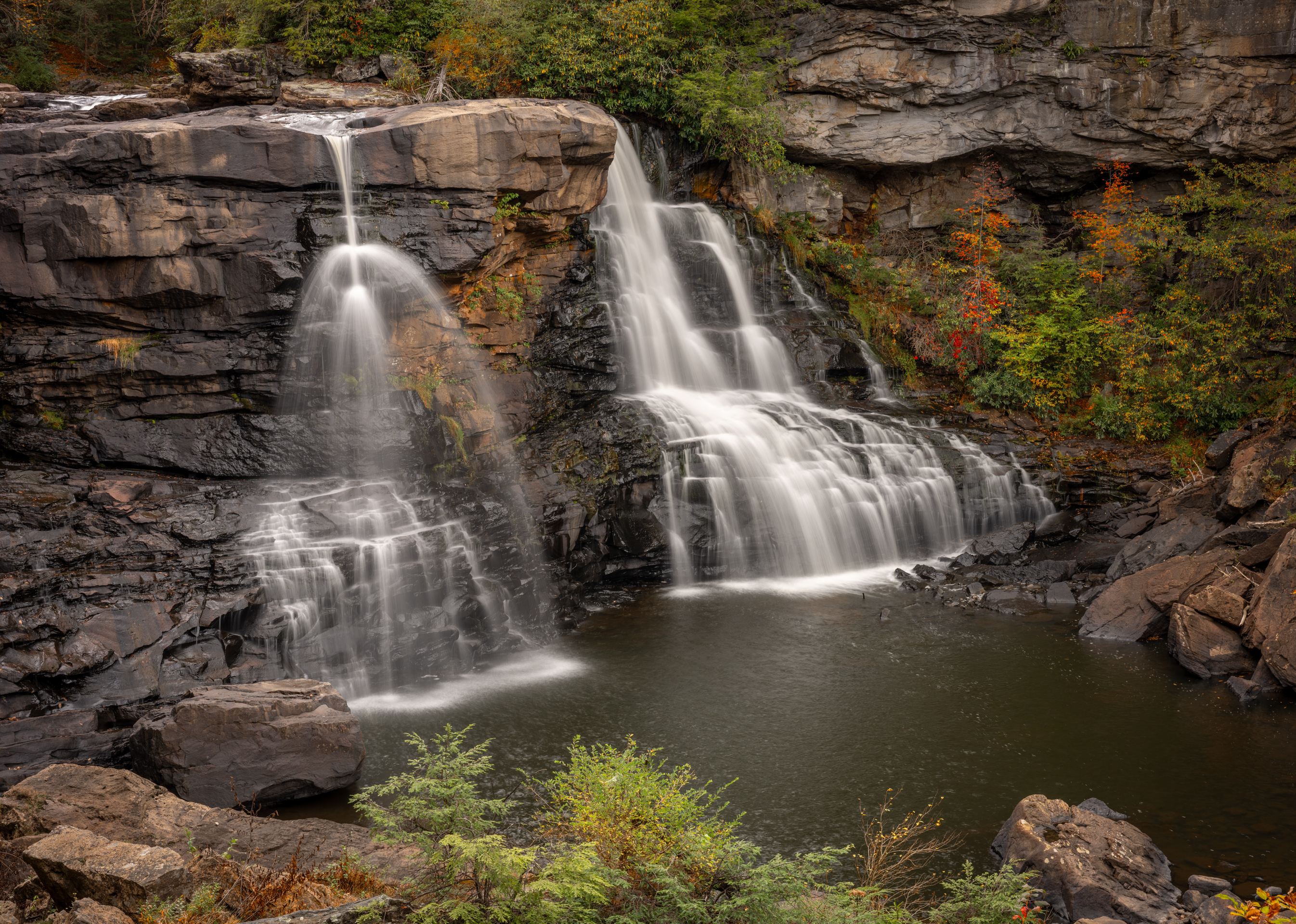 3rd PrizeMulti-Scape In Class 3 By Susan McFarlin For Blackwater Falls OCT-2025.jpg